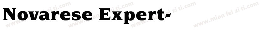 Novarese Expert字体转换